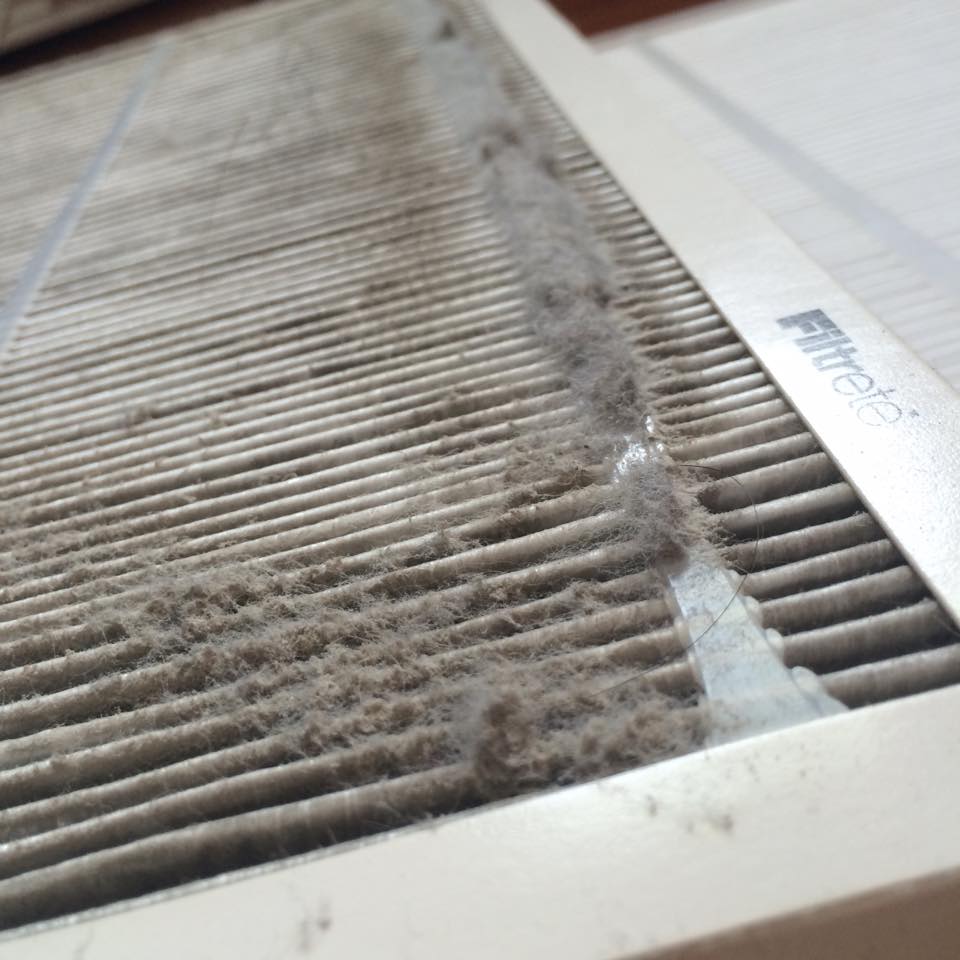 13892005_10209998932554753_3030237505753676946_n