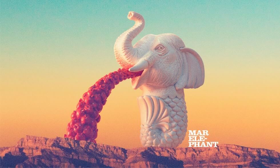 嘔吐動物之大象