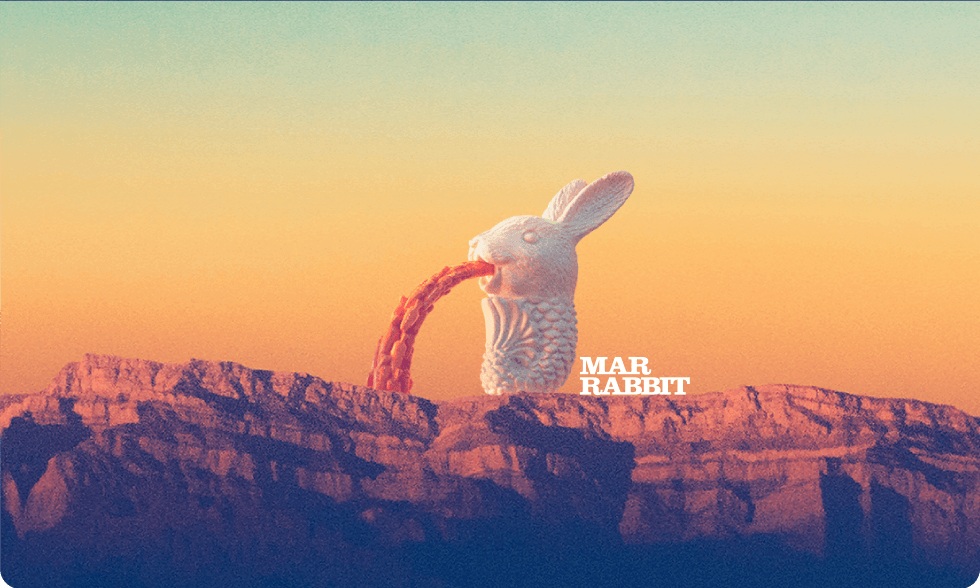 嘔吐動物之兔子