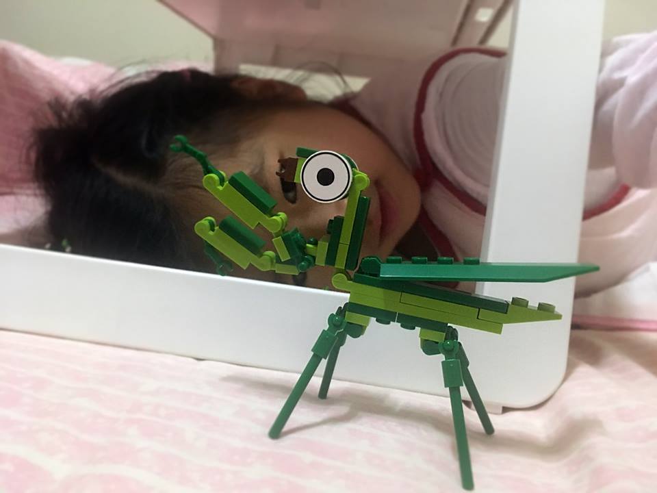 螳螂昆蟲樂高與小香瓜