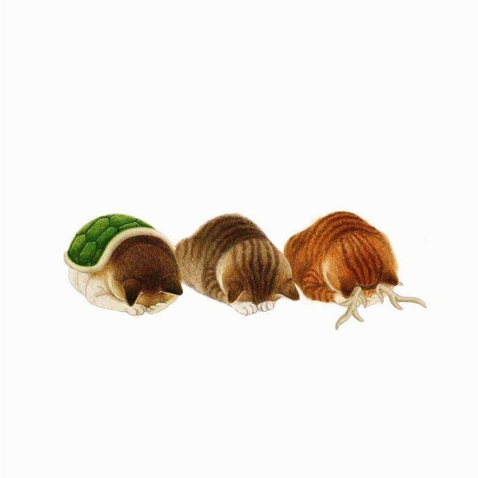 角色扮演關於喵咪的小品插畫