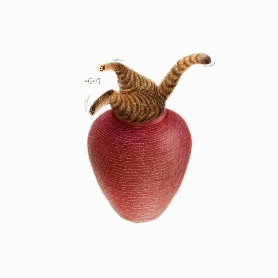 關於喵咪的小品插畫