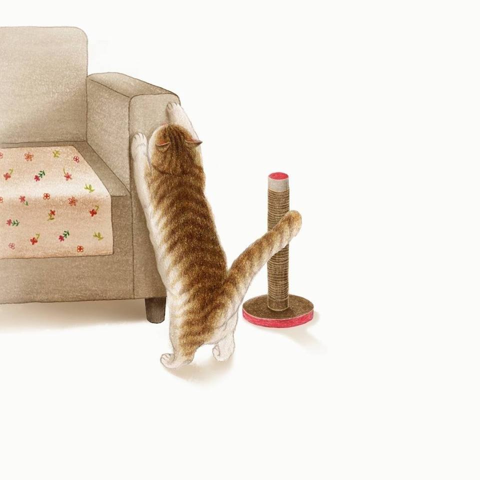 關於喵咪的小品插畫