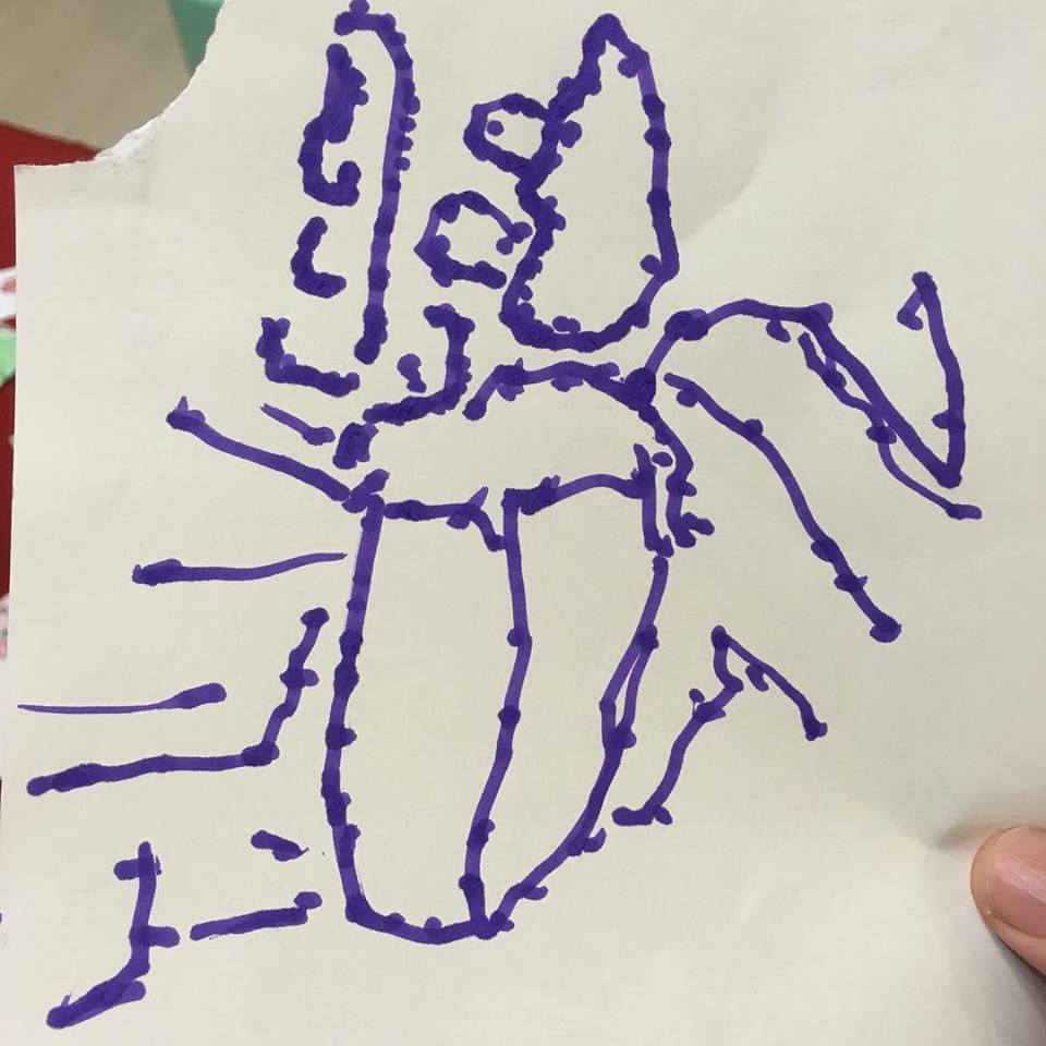 小香瓜畫的昆蟲作品