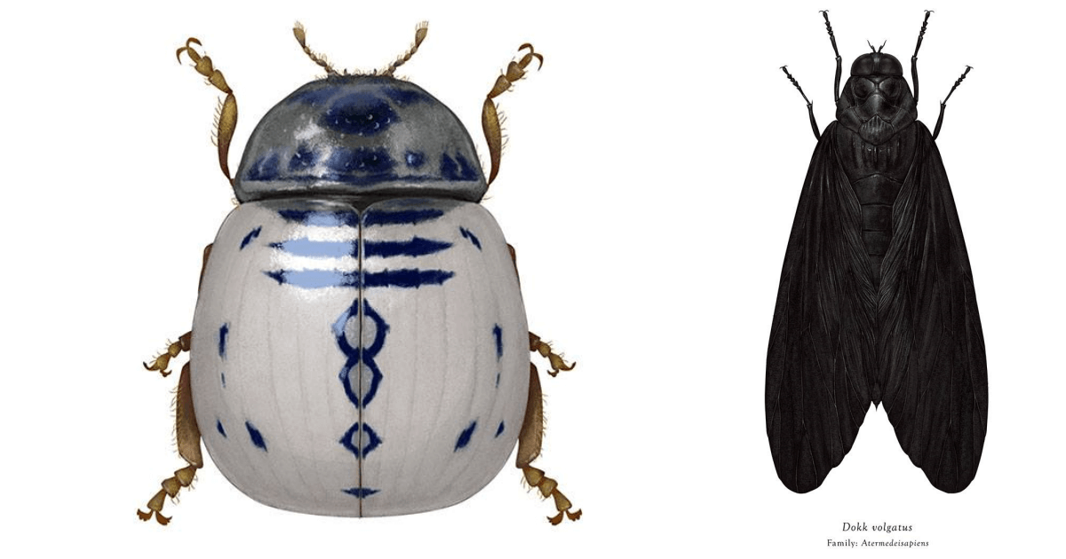 星際大戰與昆蟲插畫