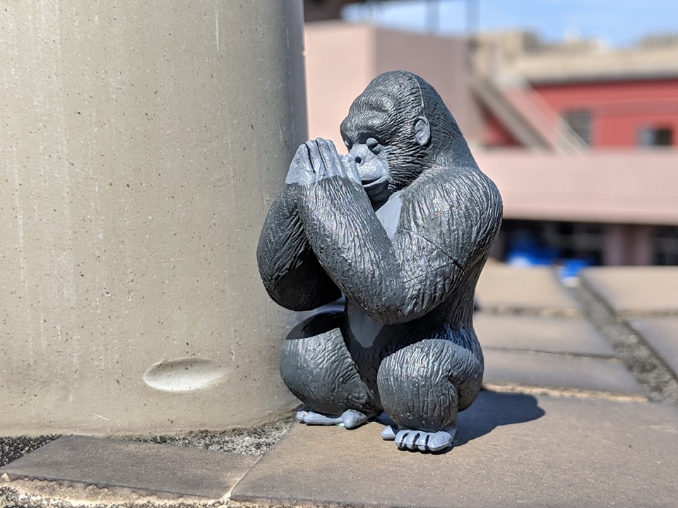 合掌祈禱拜拜扭蛋公仔的猩猩