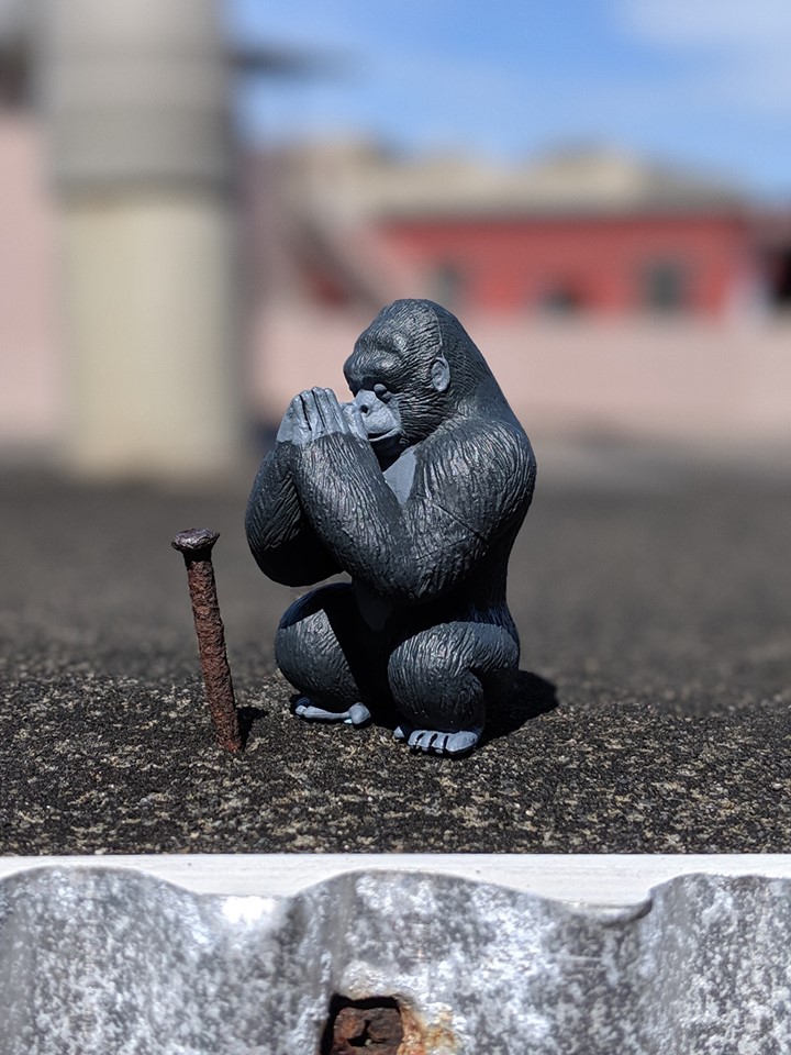 合掌祈禱拜拜扭蛋公仔的猩猩